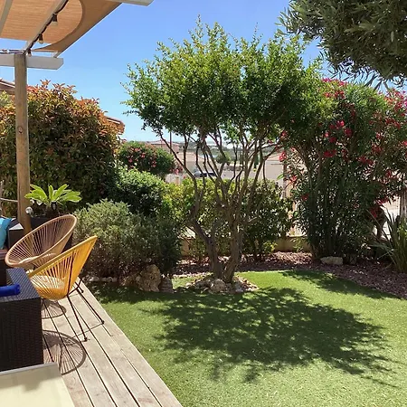 Detente Et Soleil * La Palme